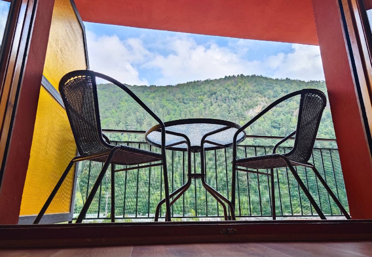 Apartamento en Camprodón - Allotjament Bruc