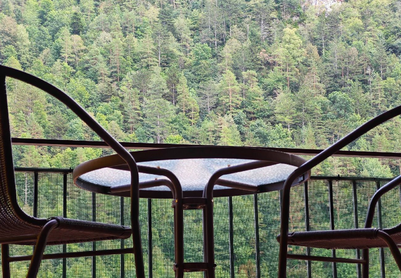 Apartamento en Camprodón - Allotjament Bruc