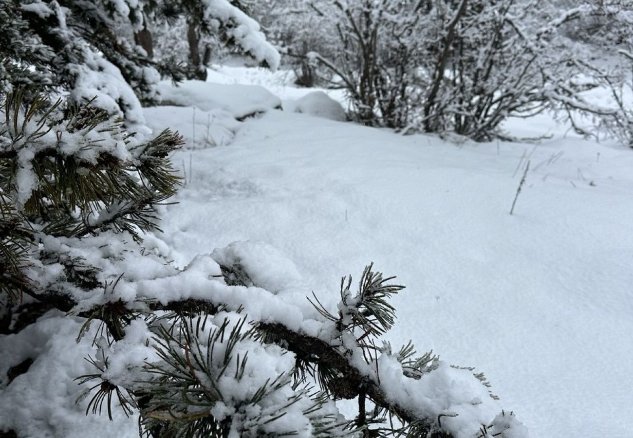 Apartamento en Camprodón - El Pont - Balandrau