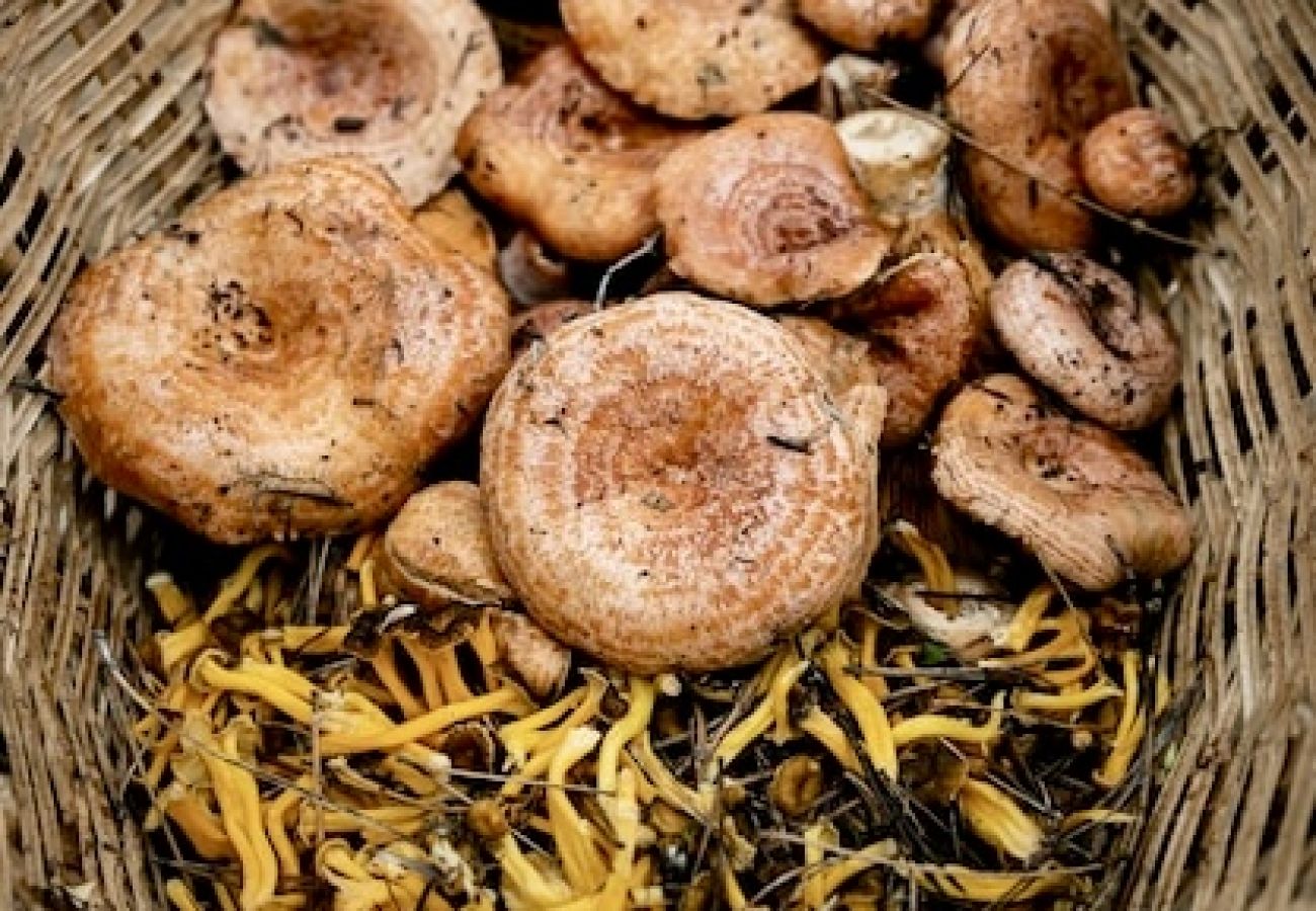 Apartamento en Camprodón - El Pont - Balandrau