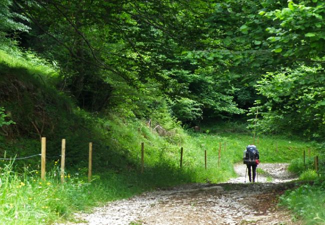 Apartamento en Camprodón - El Trevol - El Faig Apartamento en Camprodón - El Trevol - El Faig