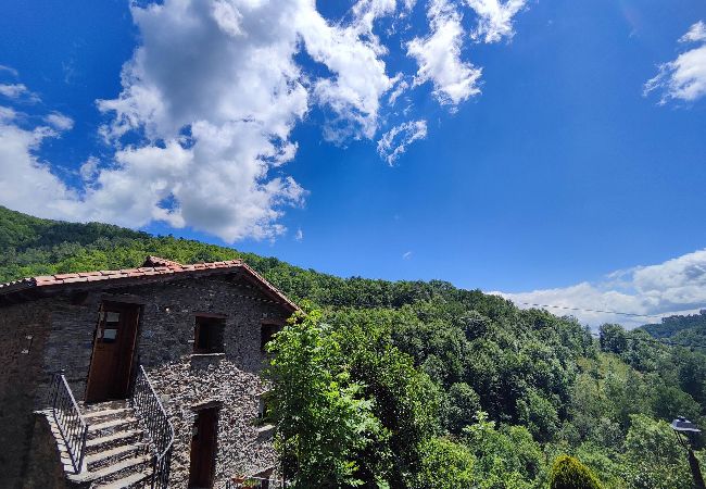 Apartamento en Molló - Cal Llarg - El Refugi Apartamento en Molló - Cal Llarg - El Refugi