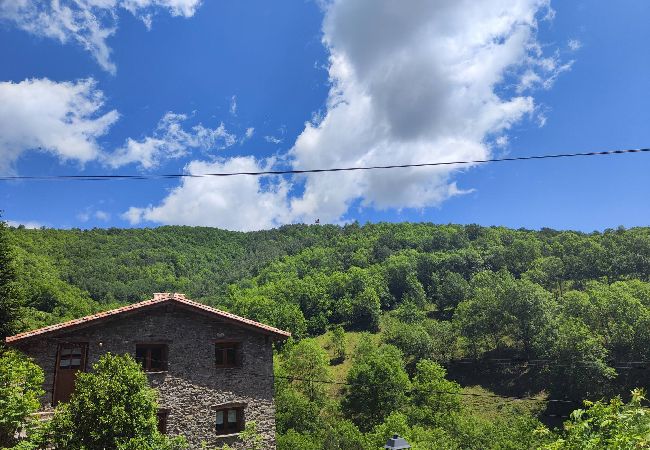 Apartamento en Molló - Cal Llarg - El Refugi Apartamento en Molló - Cal Llarg - El Refugi
