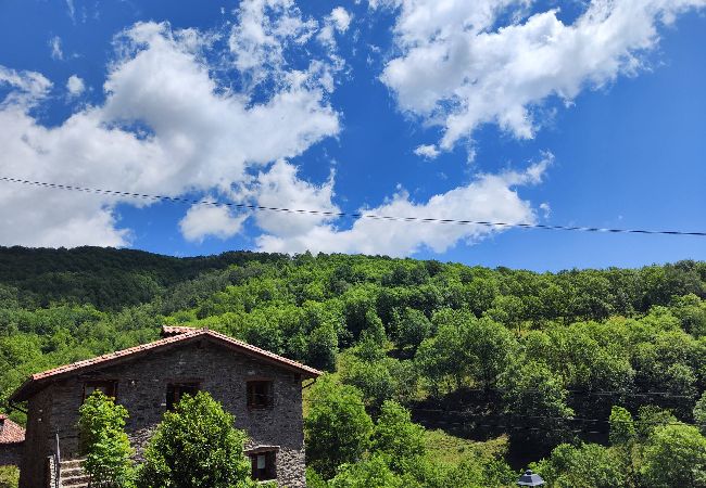 Apartamento en Molló - Cal Llarg - El Refugi Apartamento en Molló - Cal Llarg - El Refugi