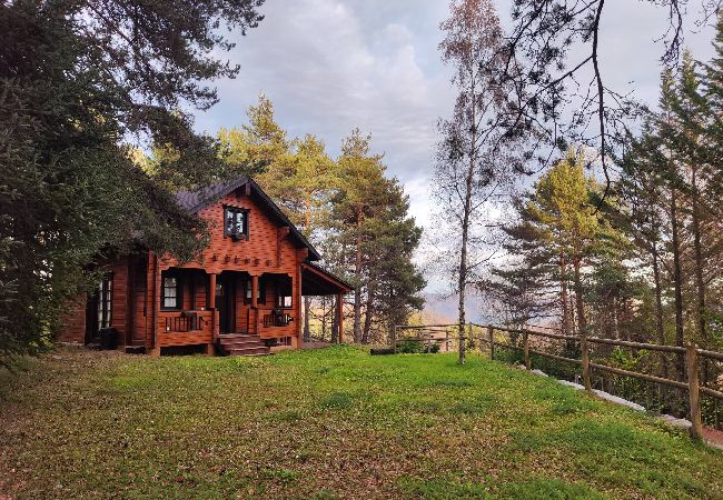 Casa rural en Camprodón - El Pi Solitari Casa rural en Camprodón - El Pi Solitari