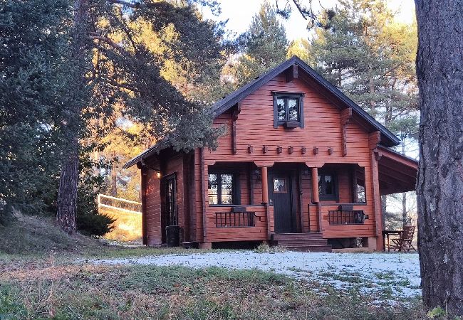 Casa rural en Camprodón - El Pi Solitari Casa rural en Camprodón - El Pi Solitari