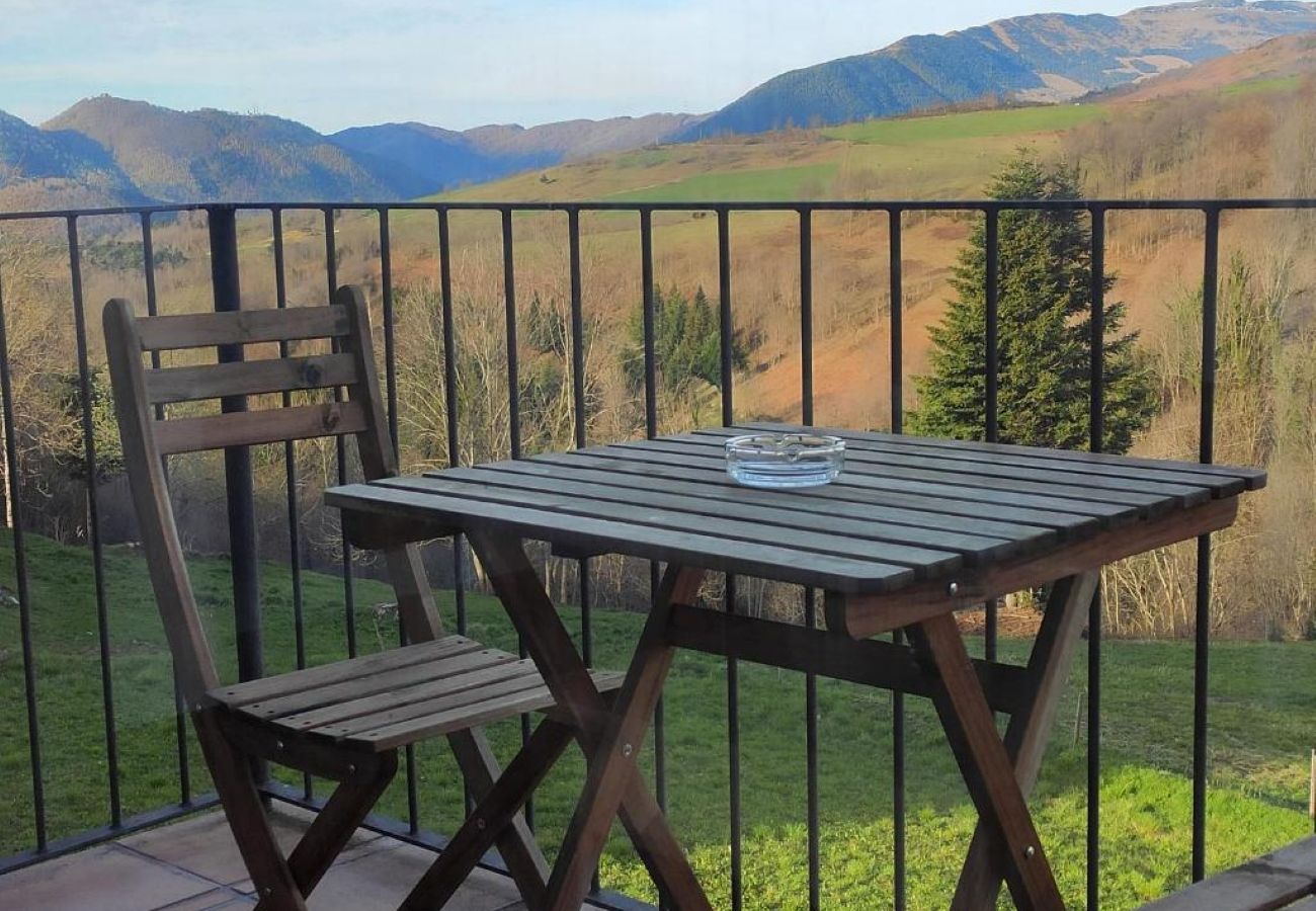 Apartamento en Molló - Allotjaments Pirineus - Cal Duc