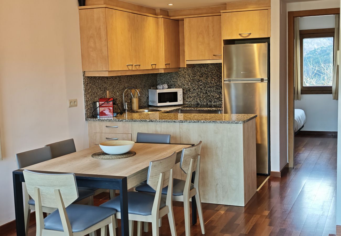 Apartamento en Molló - Allotjaments Pirineus - Cal Duc