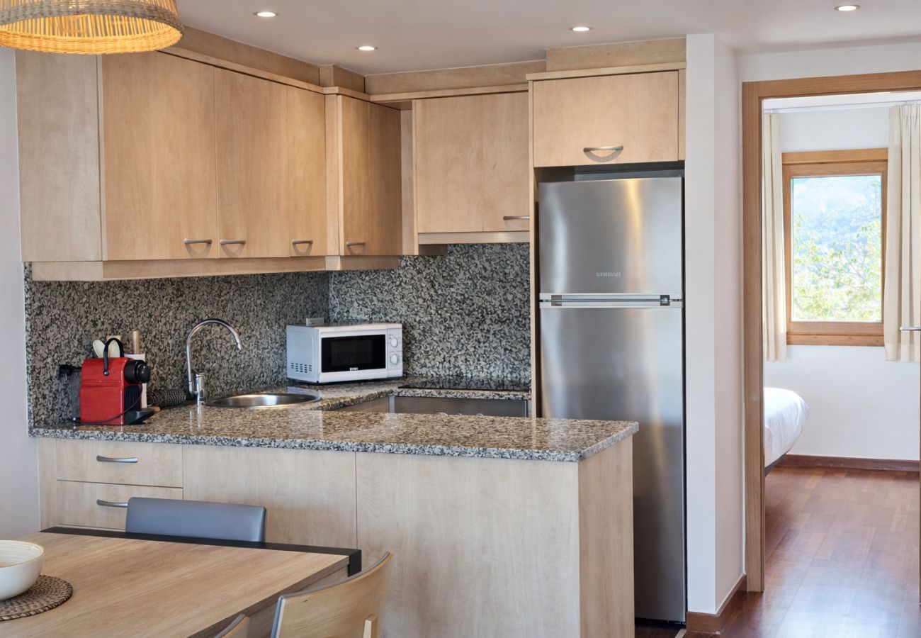 Apartamento en Molló - Allotjaments Pirineus - Cal Duc