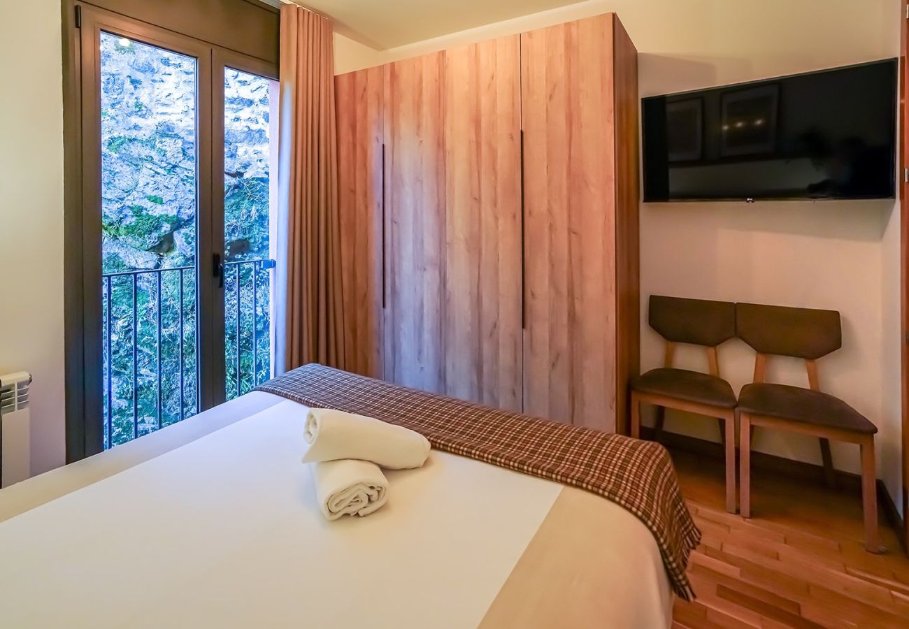 Apartamento en Camprodón - Apartamento dúplex el Pont