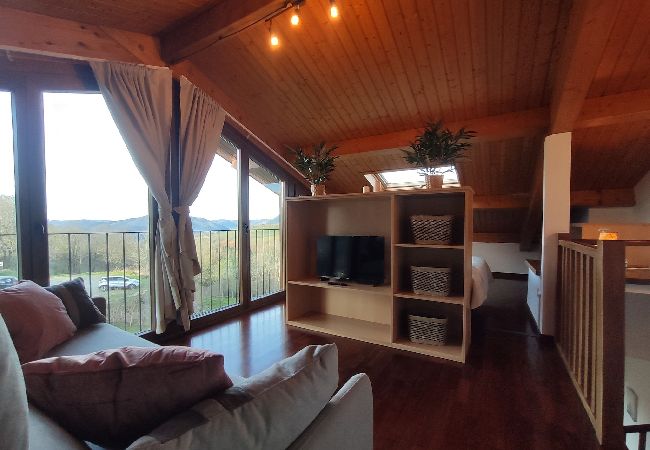 Apartament en Molló - Paratge Fabas - Canigo Apartament en Molló - Paratge Fabas - Canigo