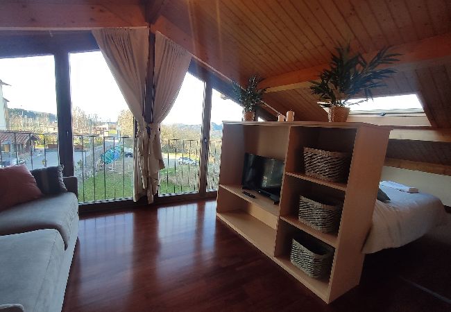 Apartament en Molló - Paratge Fabas - Canigo Apartament en Molló - Paratge Fabas - Canigo