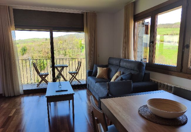 Apartament en Molló - Paratge Fabas - Montfalgars Apartament en Molló - Paratge Fabas - Montfalgars