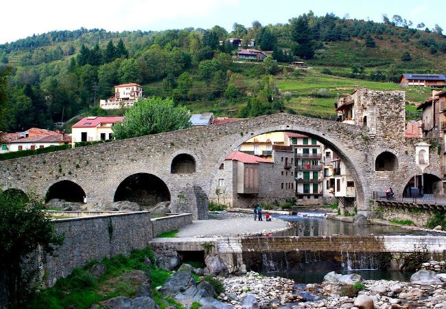 Apartament en Molló - Paratge Fabas - Montfalgars Apartament en Molló - Paratge Fabas - Montfalgars
