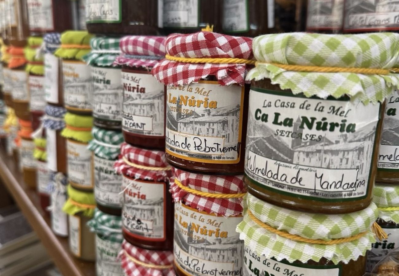 Apartament en Camprodón - El Pont - Balandrau