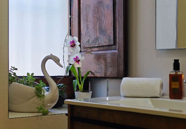 Apartament en Camprodón - El descans de l'oreneta Apartament en Camprodón - El descans de l'oreneta