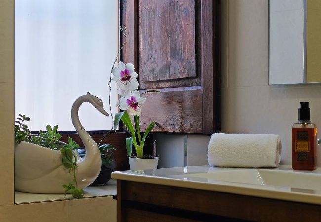 Apartament en Camprodón - El descans de l'oreneta Apartament en Camprodón - El descans de l'oreneta