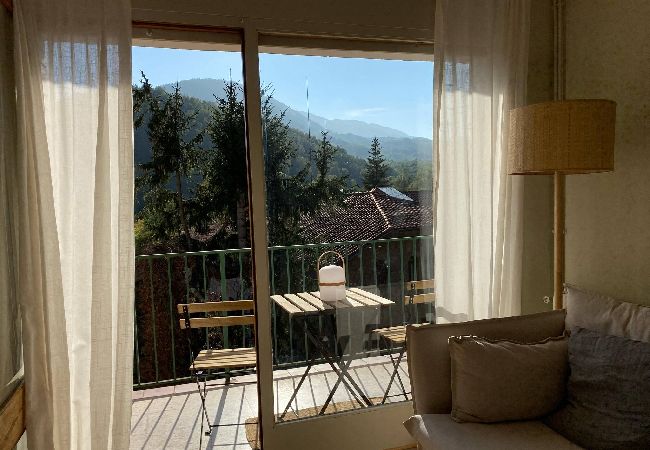 Apartament en Camprodón - Can Guasch - Fajol Apartament en Camprodón - Can Guasch - Fajol