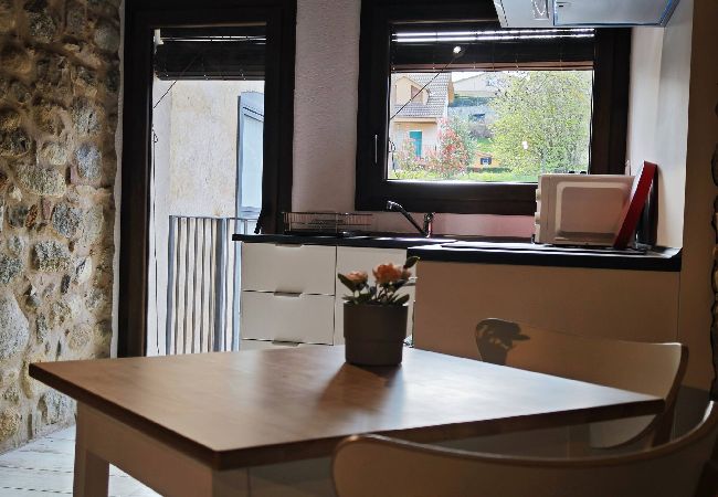 Apartament en Sant pau de seguries - L'Era del Ter - Loft Apartament en Sant pau de seguries - L'Era del Ter - Loft