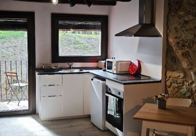 Apartament en Sant pau de seguries - L'Era del Ter - Loft Apartament en Sant pau de seguries - L'Era del Ter - Loft