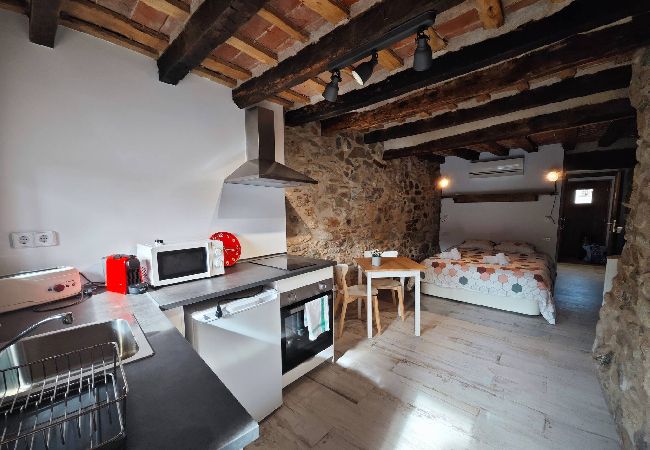 Apartament en Sant pau de seguries - L'Era del Ter - Loft Apartament en Sant pau de seguries - L'Era del Ter - Loft