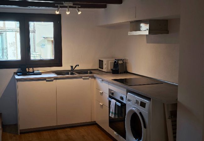 Apartament en Sant pau de seguries - L'Era del Ter - duplex Apartament en Sant pau de seguries - L'Era del Ter - duplex