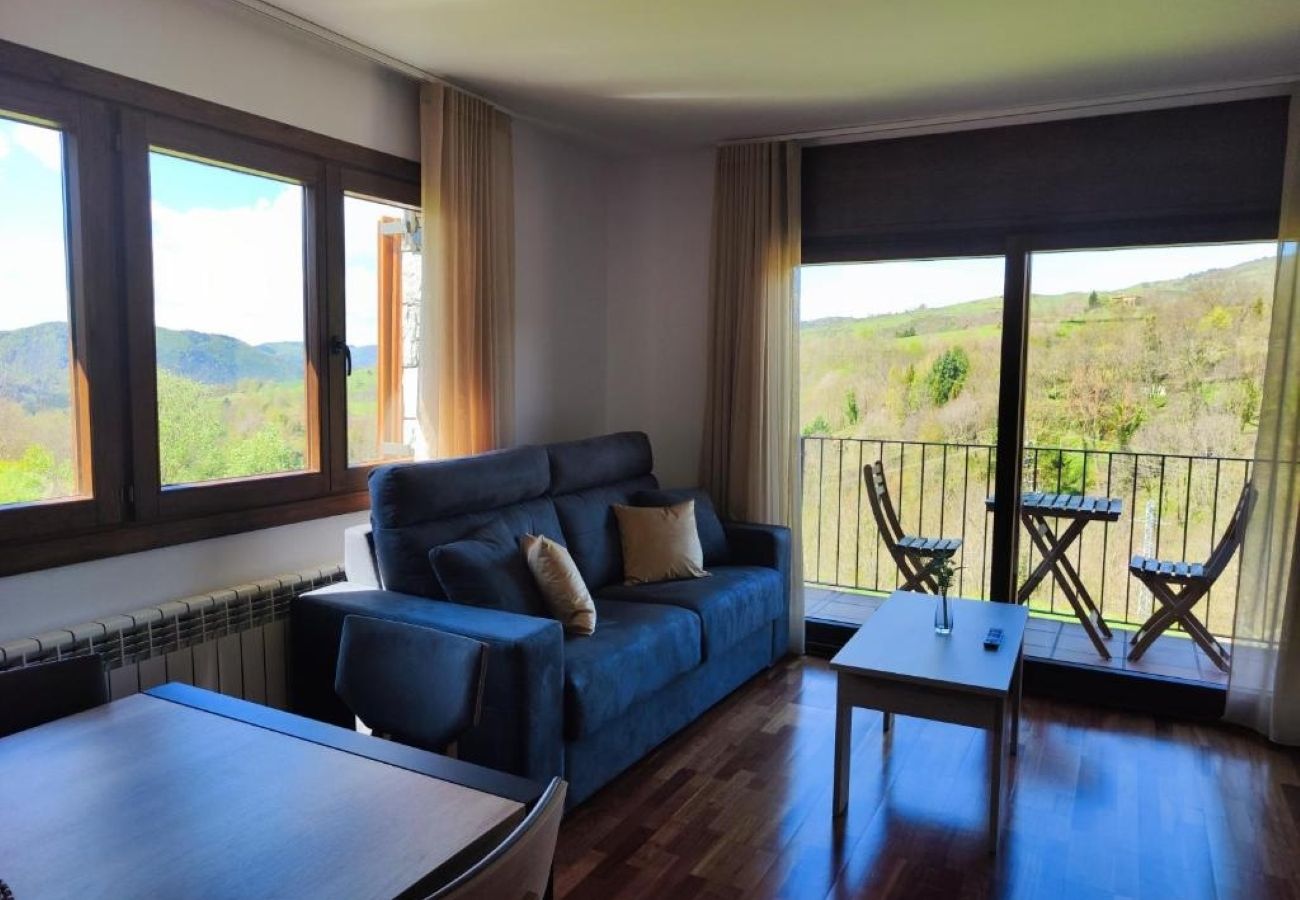 Apartament en Molló - Allotjaments Pirineu - Cal Daina