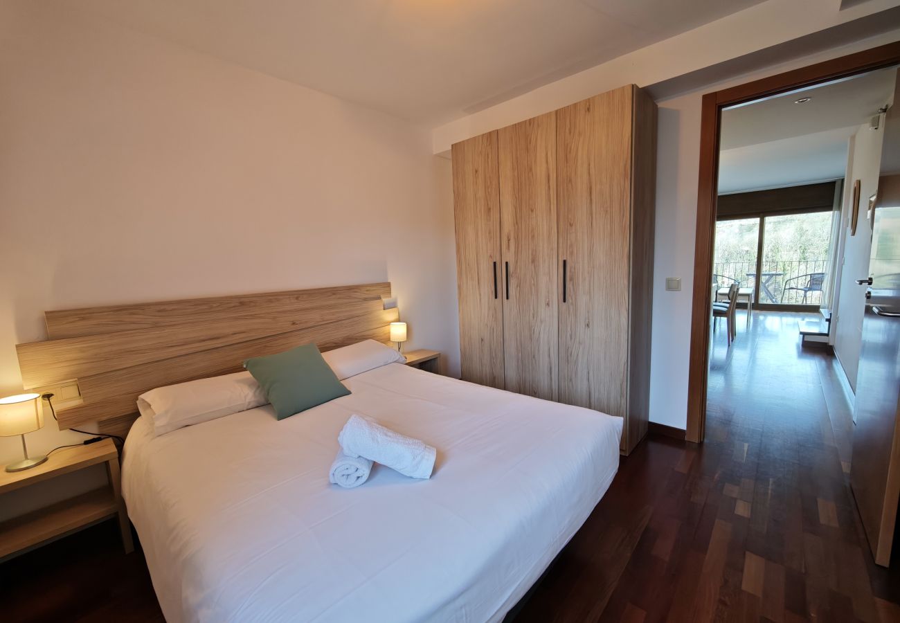 Apartament en Molló - Allotjaments Pirineu - Cal Daina