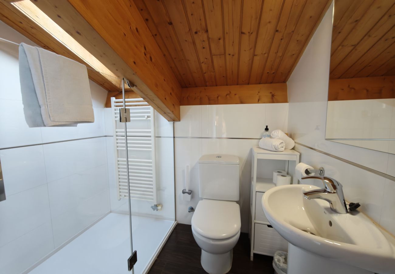 Apartament en Molló - Allotjaments Pirineu - Cal Daina