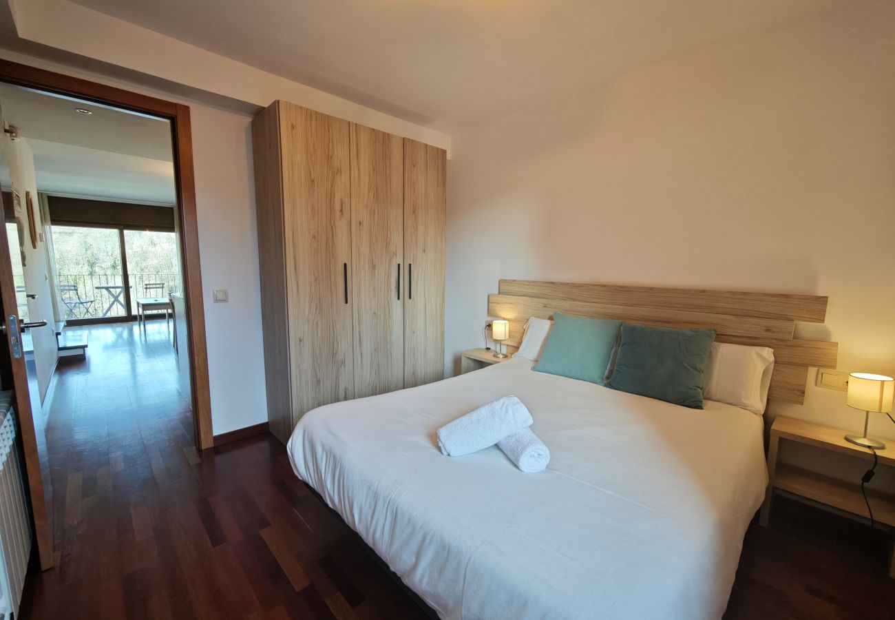 Apartament en Molló - Allotjaments Pirineus - Cal Duc