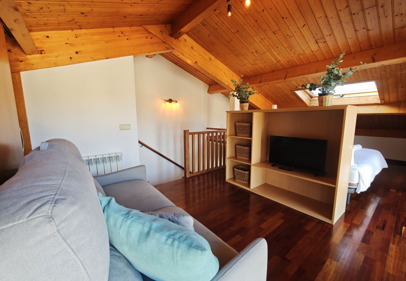 Apartament en Molló - Allotjaments Pirineus - Cal Duc