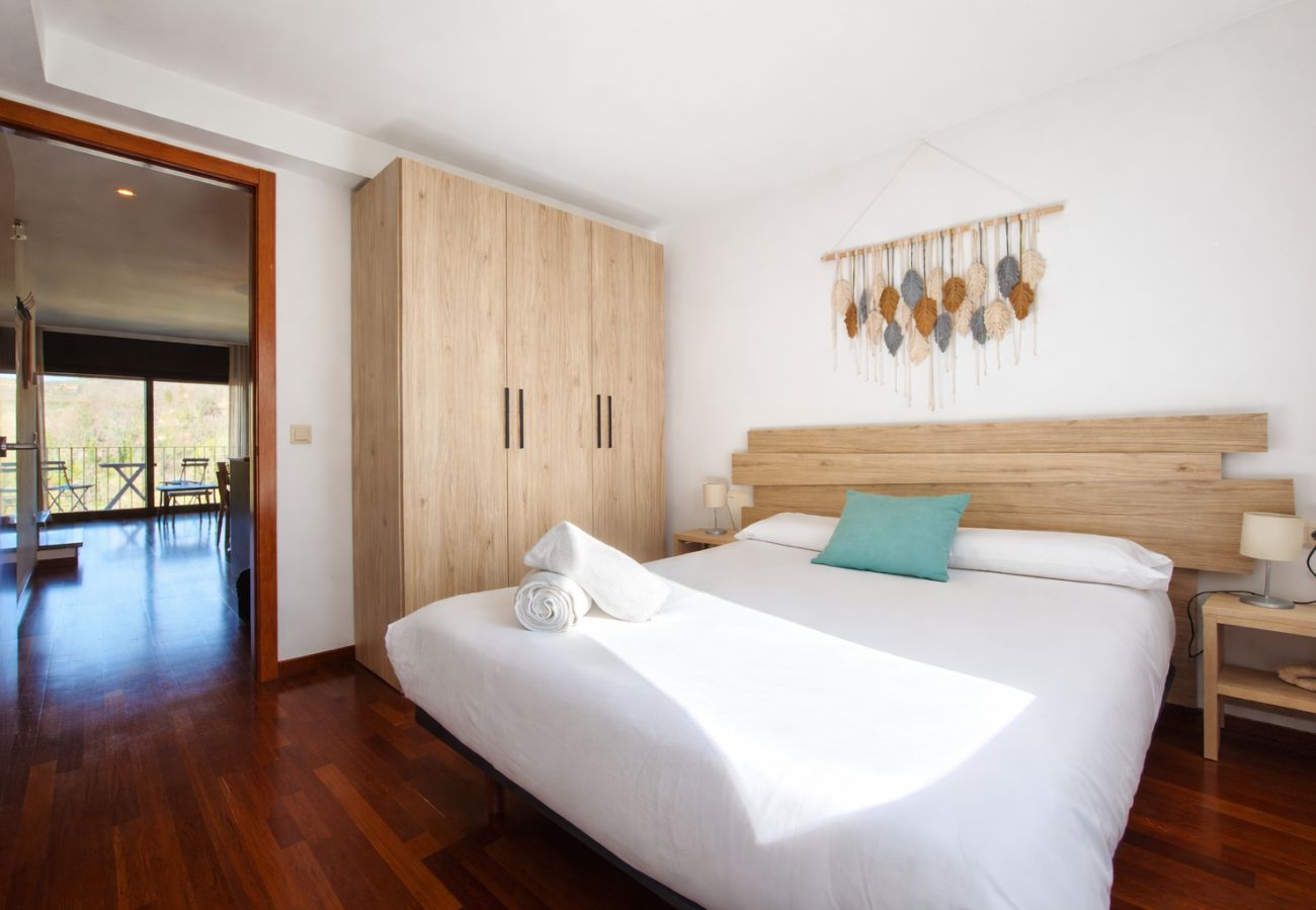 Apartament en Molló - Allotjaments Pirineus - Cal Duc