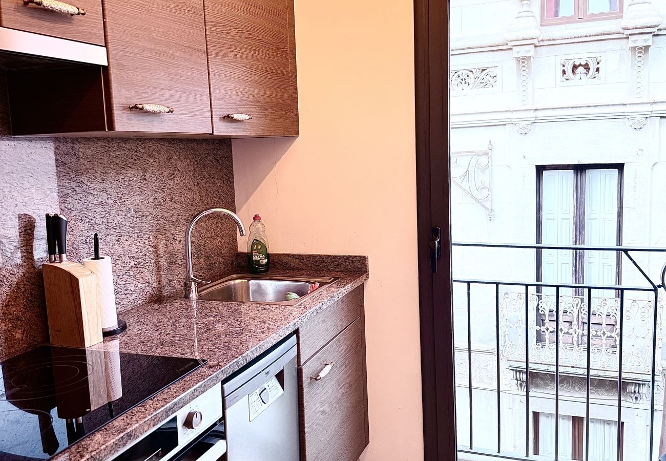 Apartament en Camprodón - Apartamento dúplex el Pont